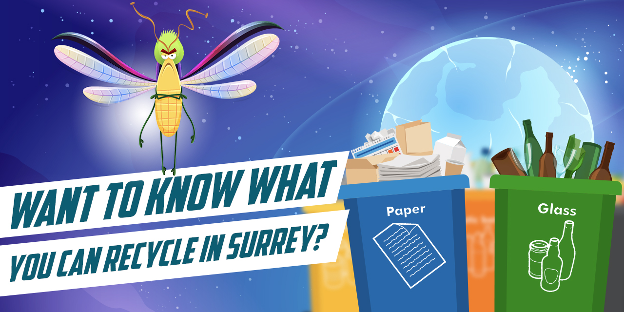 Want to know what you can recycle in Surrey?